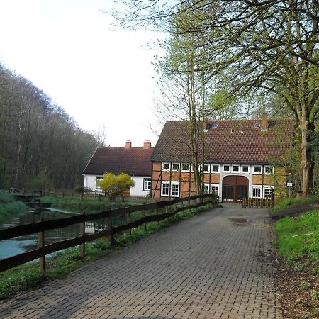 Hoellenmuehle Bed & Breakfast At The Mill Pond Хессиш-Ольдендорф Экстерьер фото