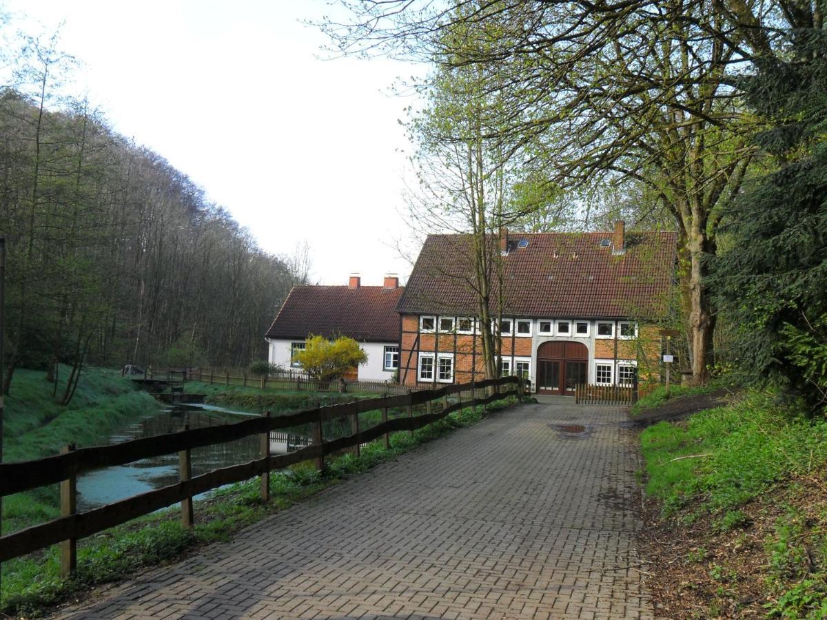 Hoellenmuehle Bed & Breakfast At The Mill Pond Хессиш-Ольдендорф Экстерьер фото