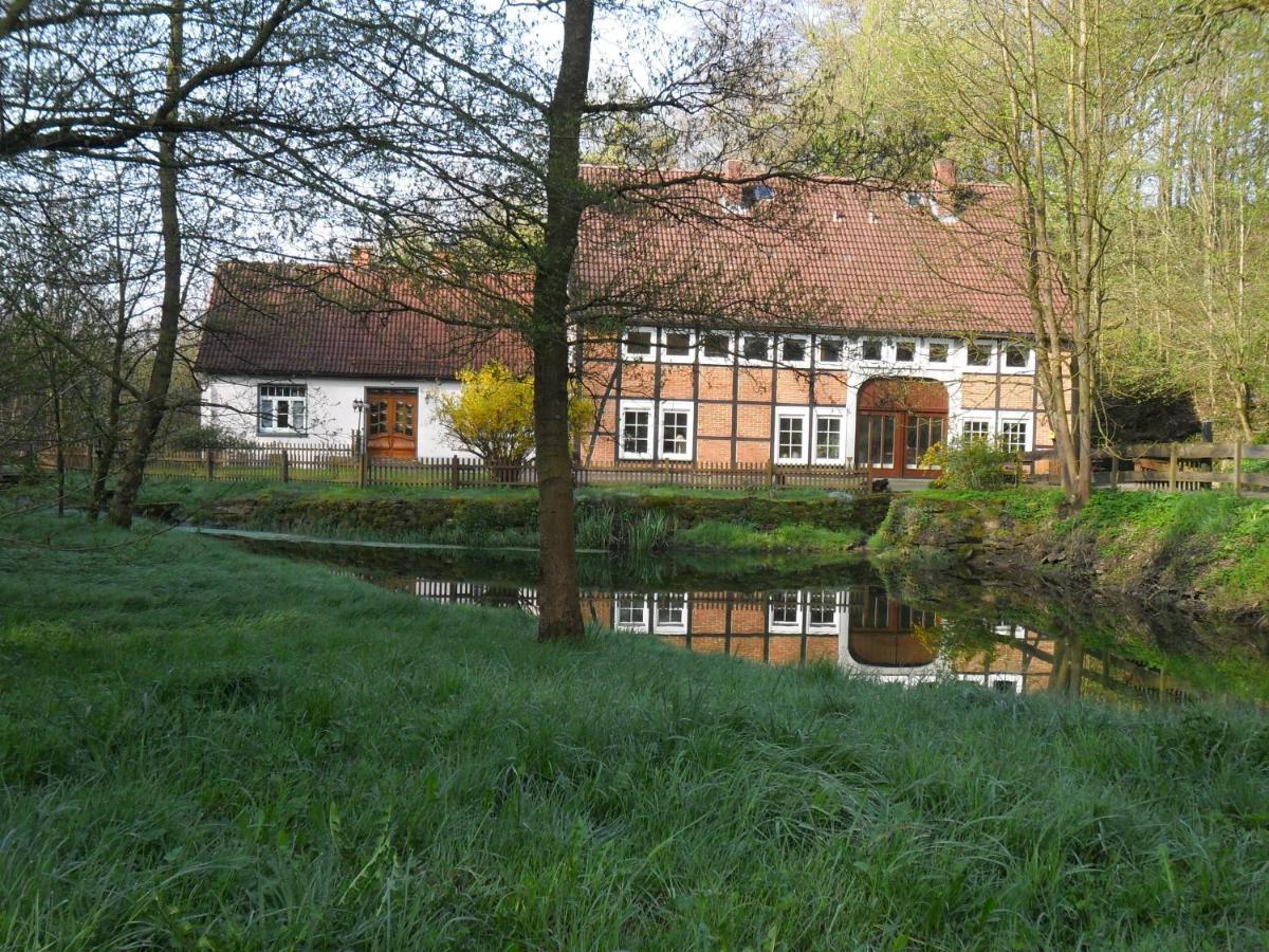 Hoellenmuehle Bed & Breakfast At The Mill Pond Хессиш-Ольдендорф Экстерьер фото