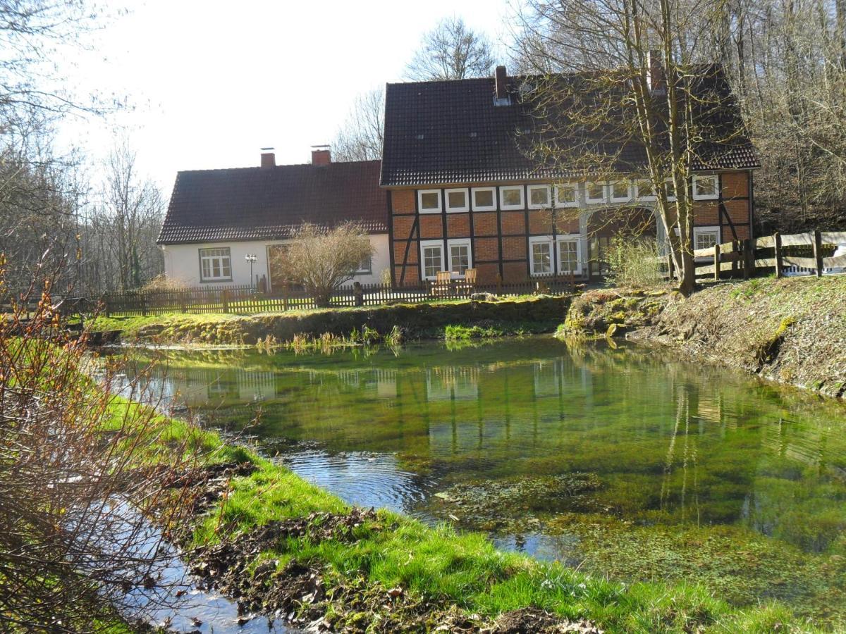 Hoellenmuehle Bed & Breakfast At The Mill Pond Хессиш-Ольдендорф Экстерьер фото